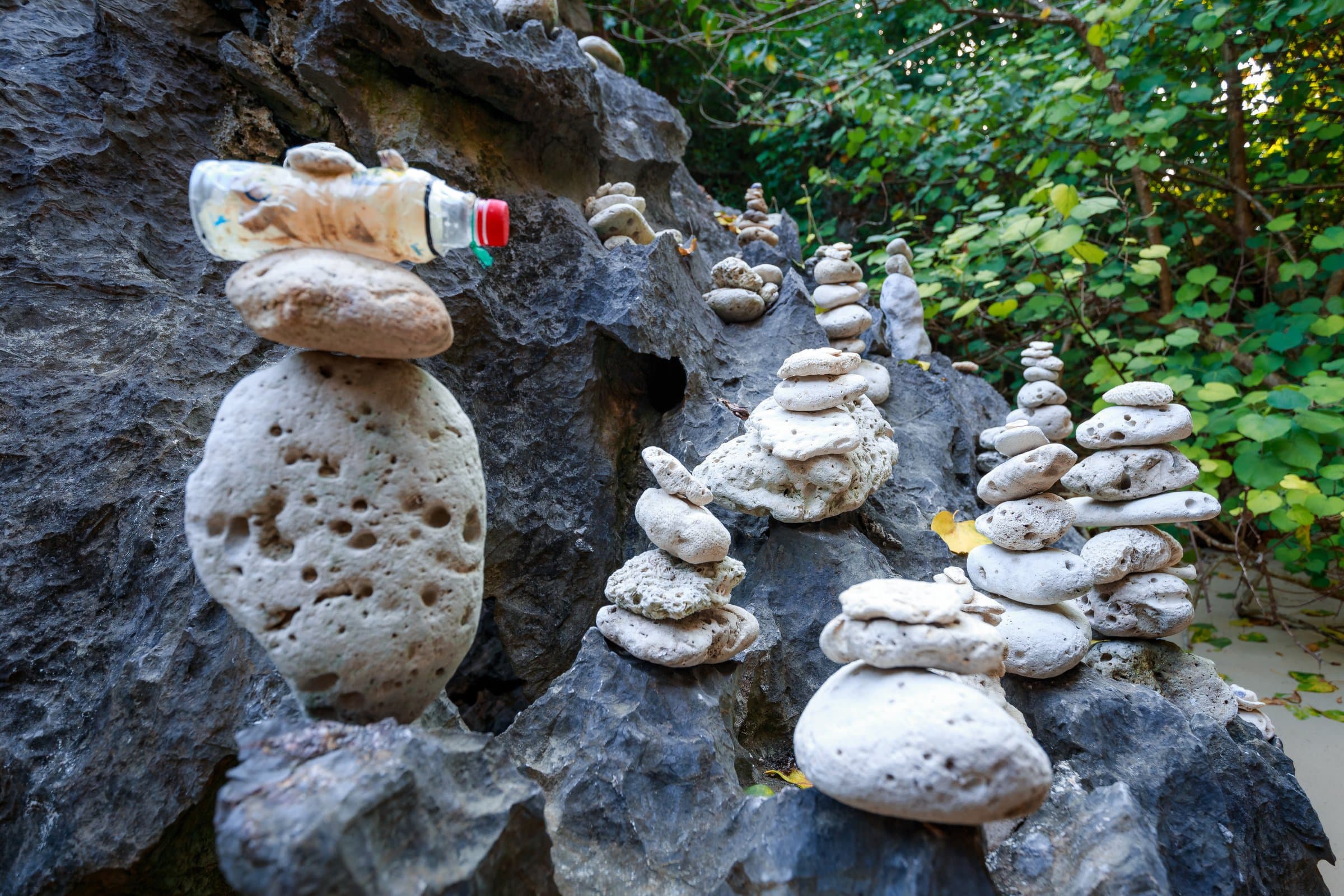 Trekking National Park & Viet Hai Village