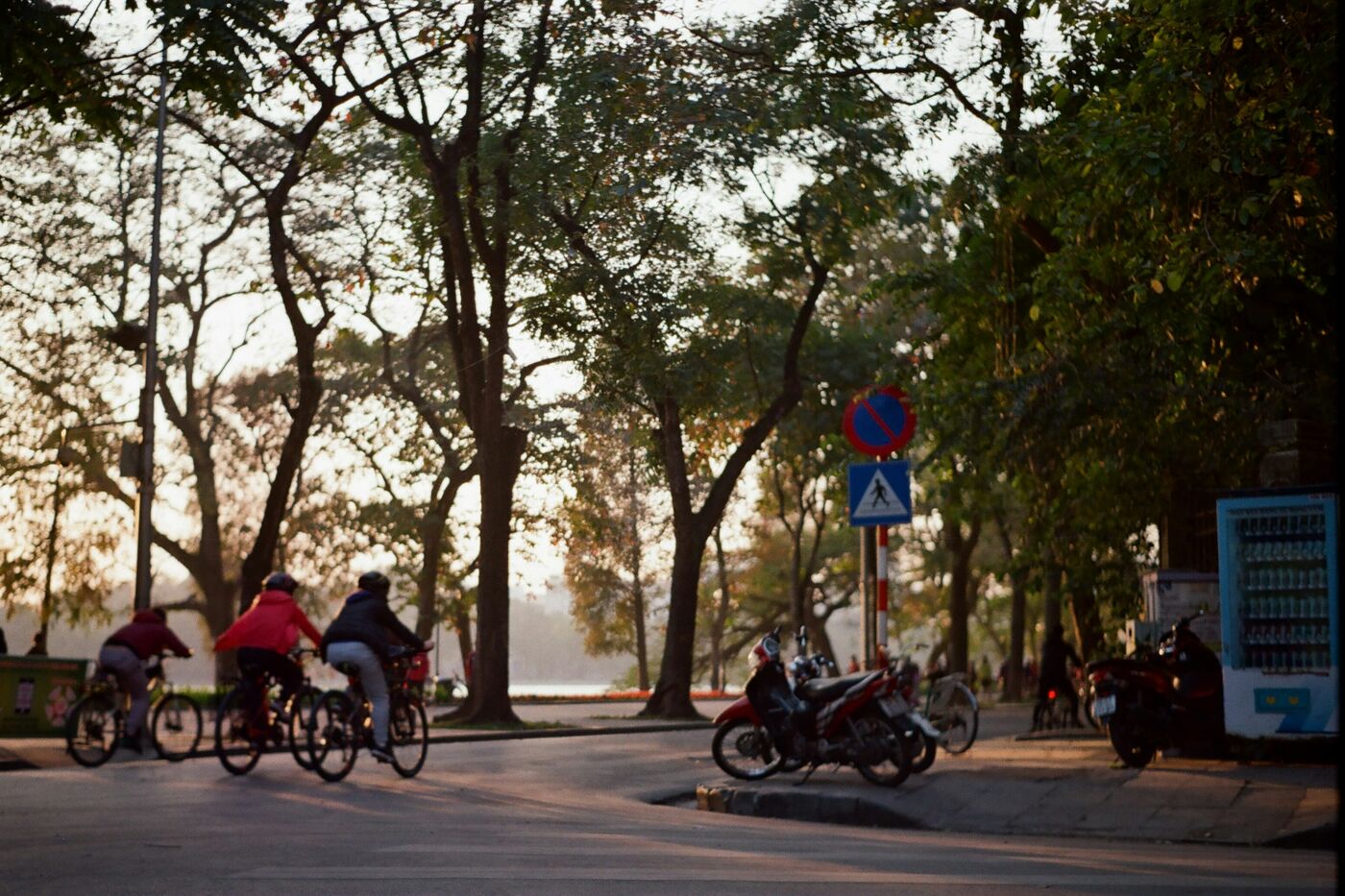 Cyclistes dans une rue arborée de Hanoï en fin d’après-midi