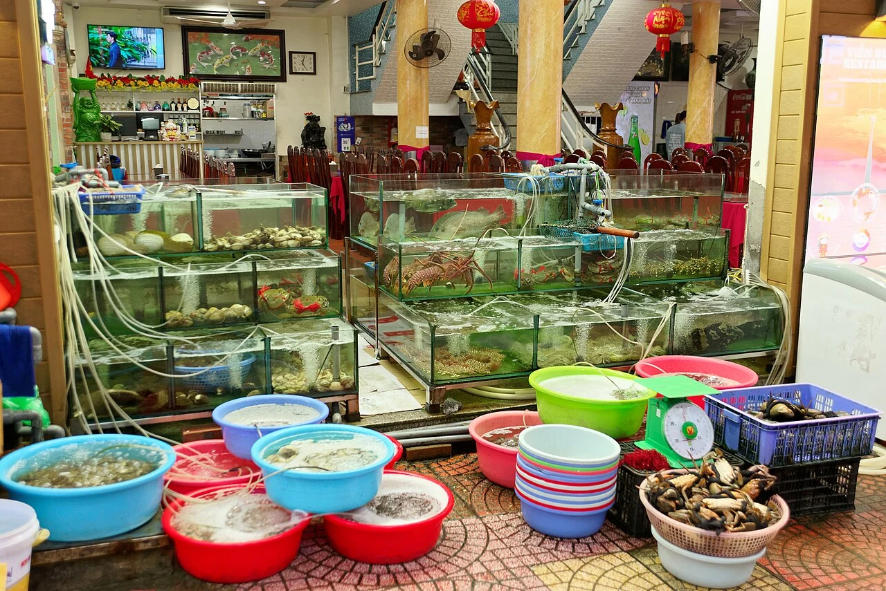 Seafood display and weighing scale in Cat Ba Town in 2024