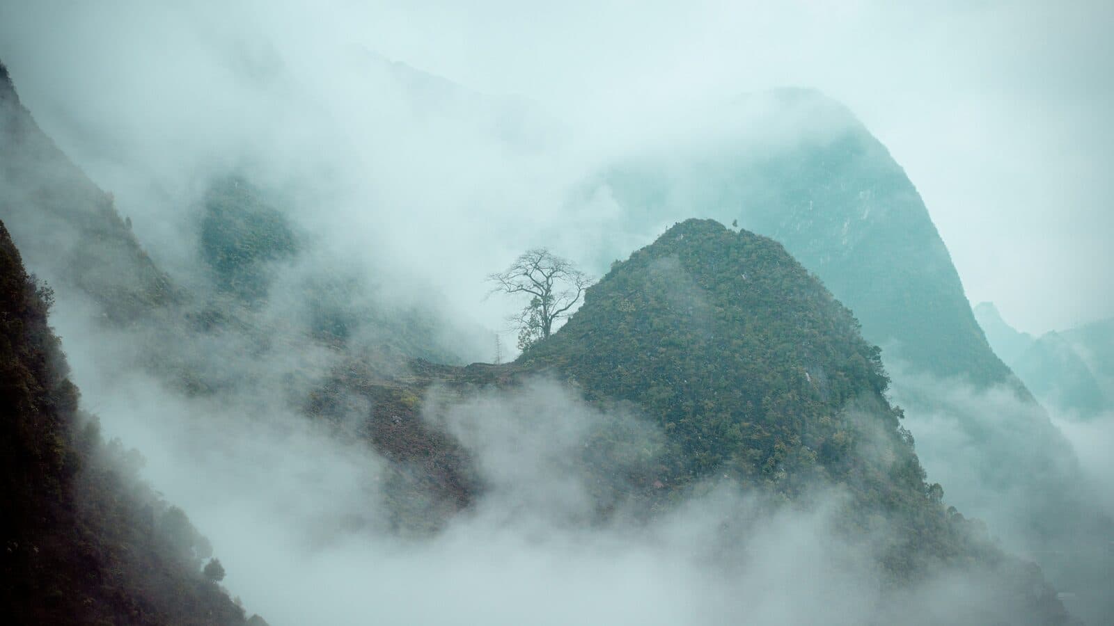 Getting to Cat Ba from Ha Giang: After the Loop, to the Bay