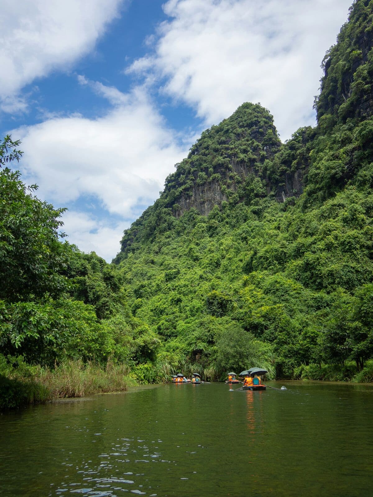 Ninh Binh limestone landscape with rice paddies