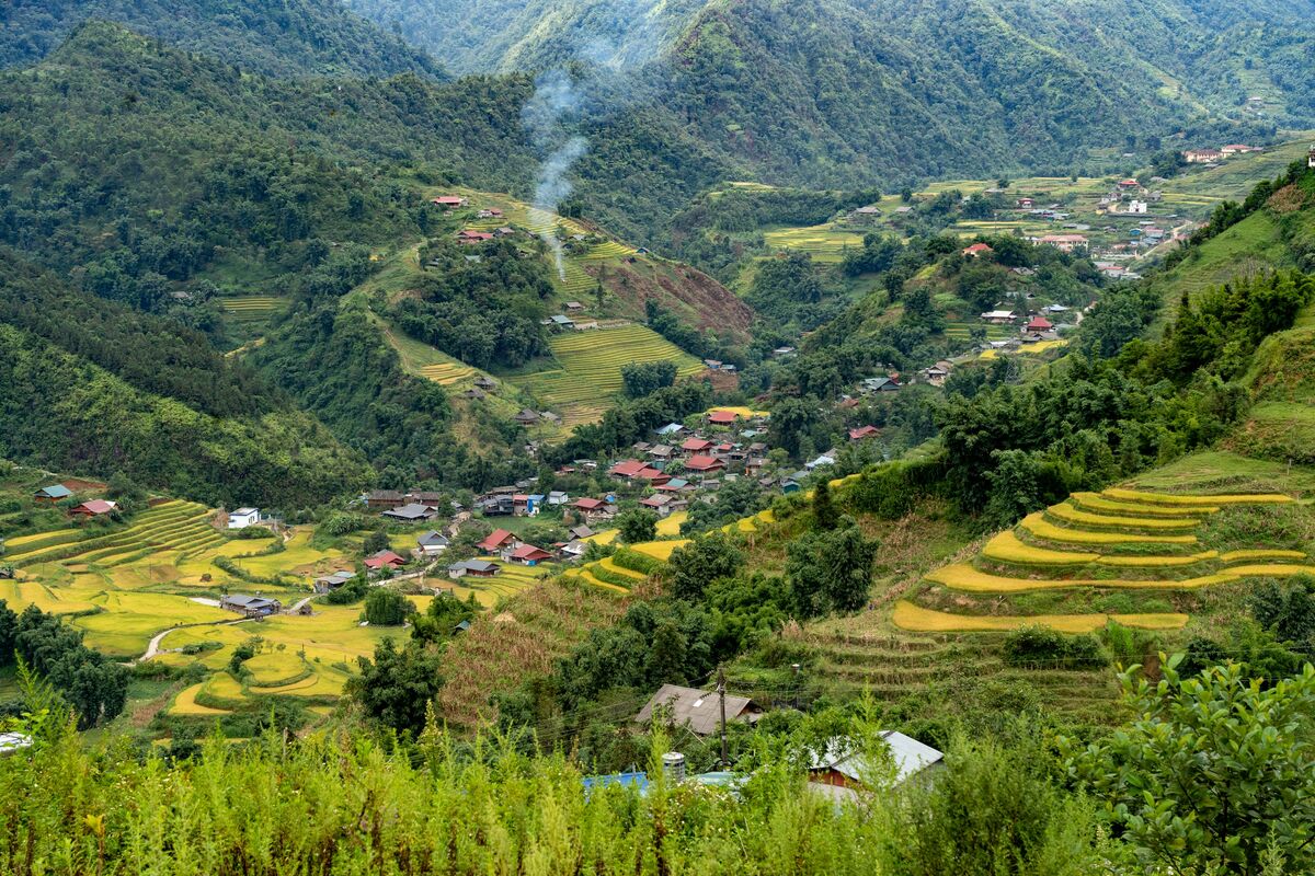 Misty mountain pass and terraced fields in Sapa region