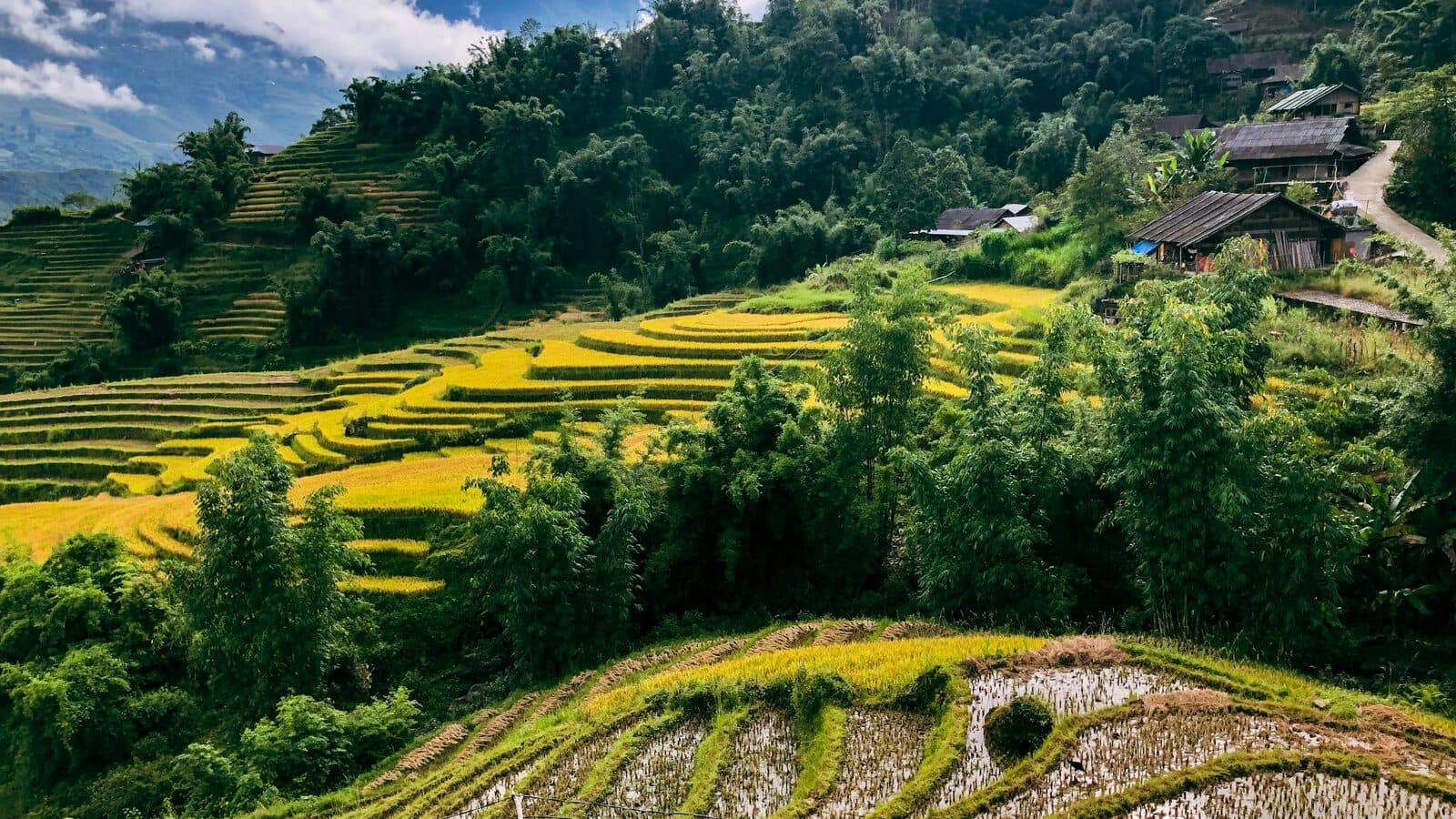 Getting to Cat Ba from Sapa: The Overnight Sleeper Bus Route