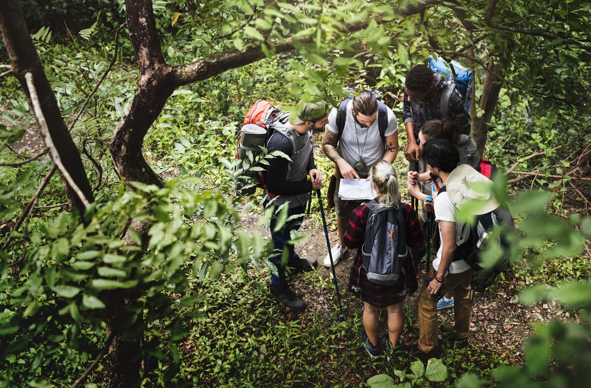 Trekkers in the jungle on the trail through Cat Ba National Park
