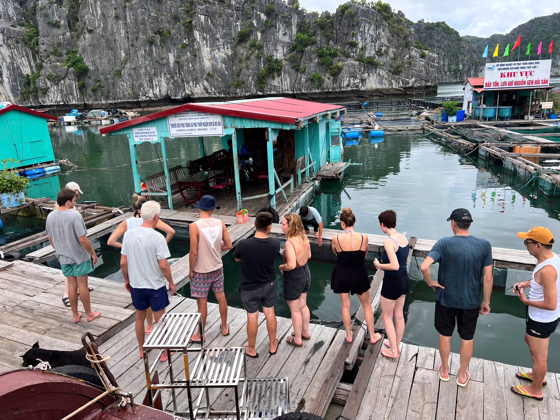 Navigazione al largo del sud della baia di Ha Long · Esperti locali del Dipartimento della Pesca