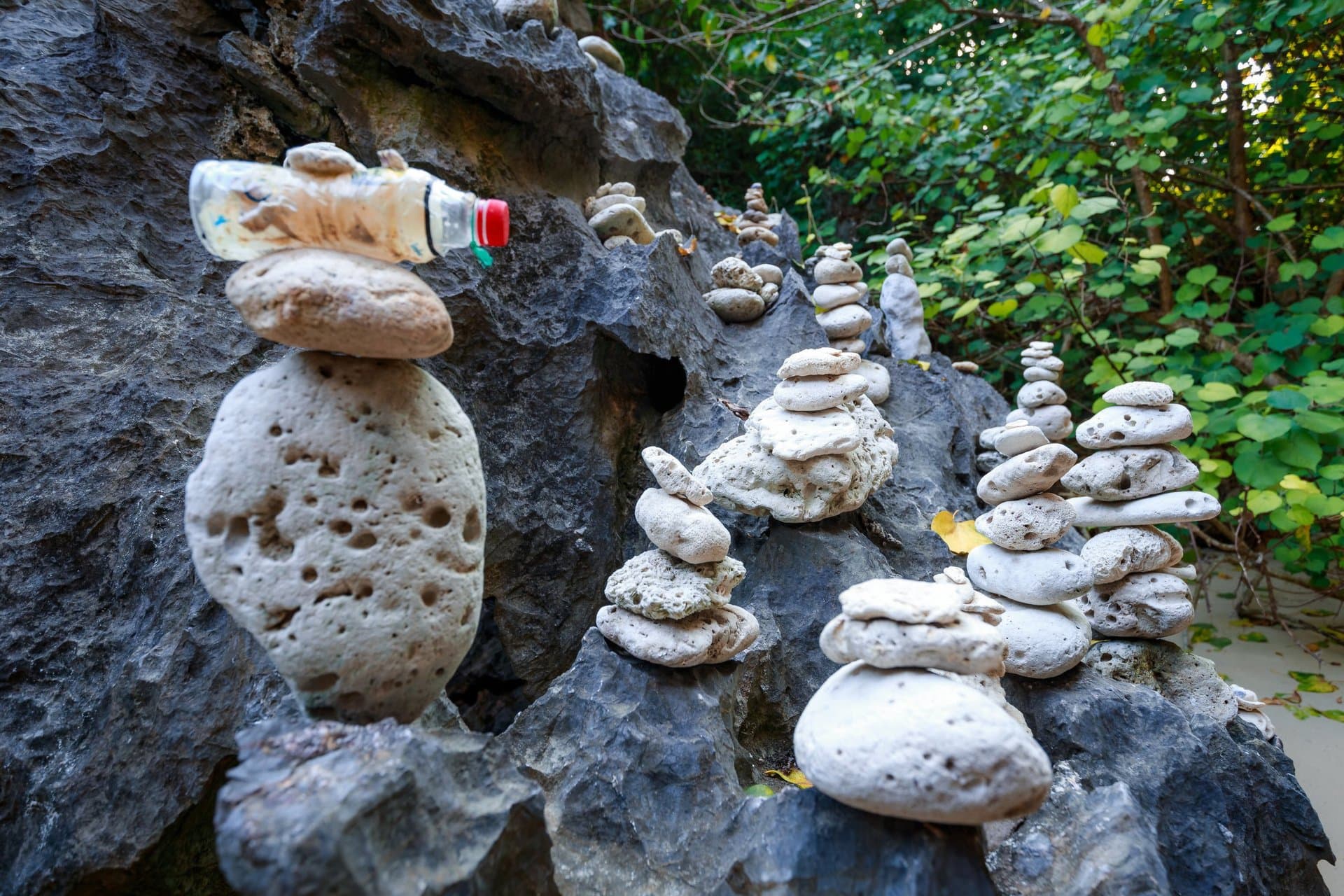 Trekking National Park & Viet Hai Village