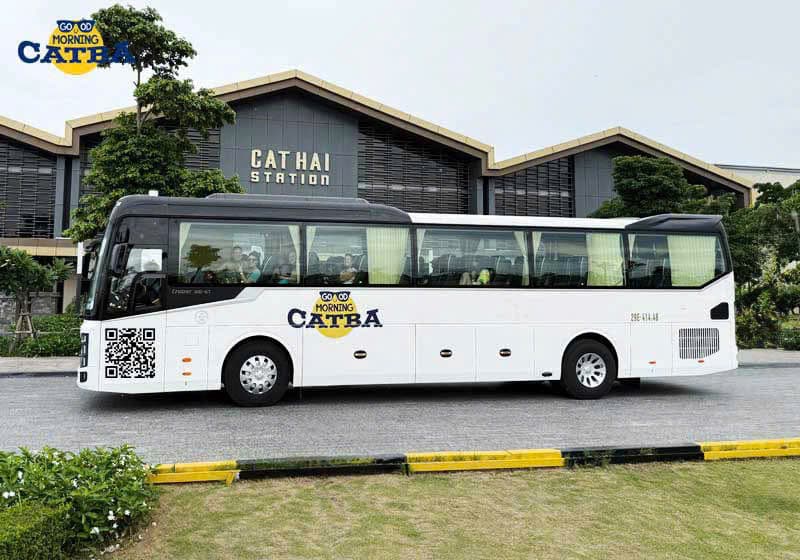 Regular Bus 45-seat 2